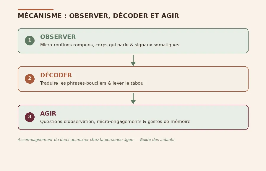 Schéma en trois étapes pour décoder le silence des seniors : observer, décoder, agir